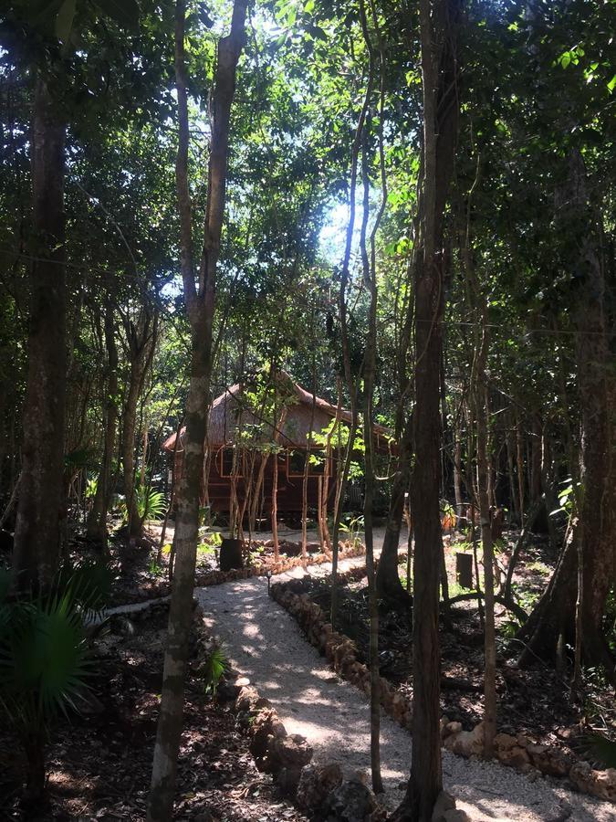Cheel Lodge & Camping Puerto Morelos Exterior photo
